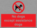 no-dogs-except-assistance-dogs~